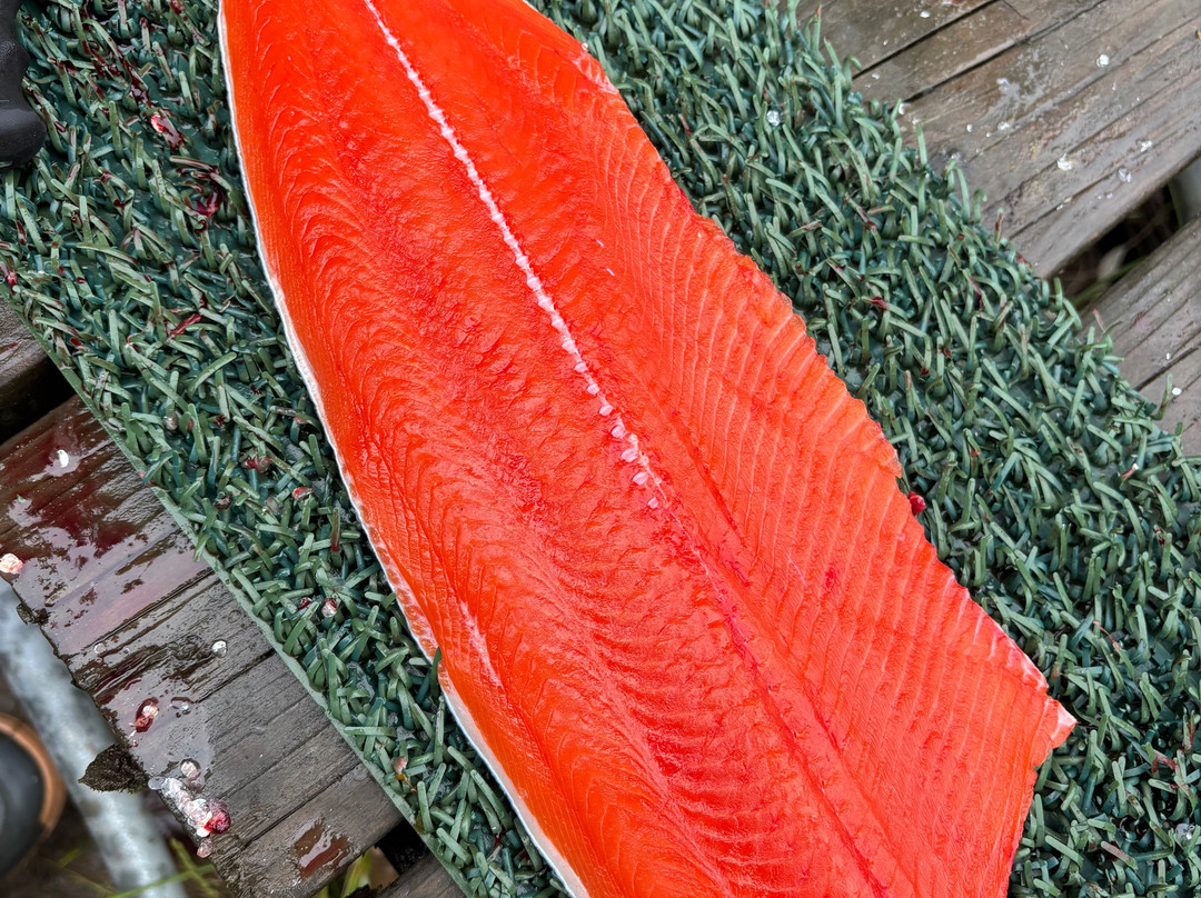 Deshka Landing Charters & Lodge主图