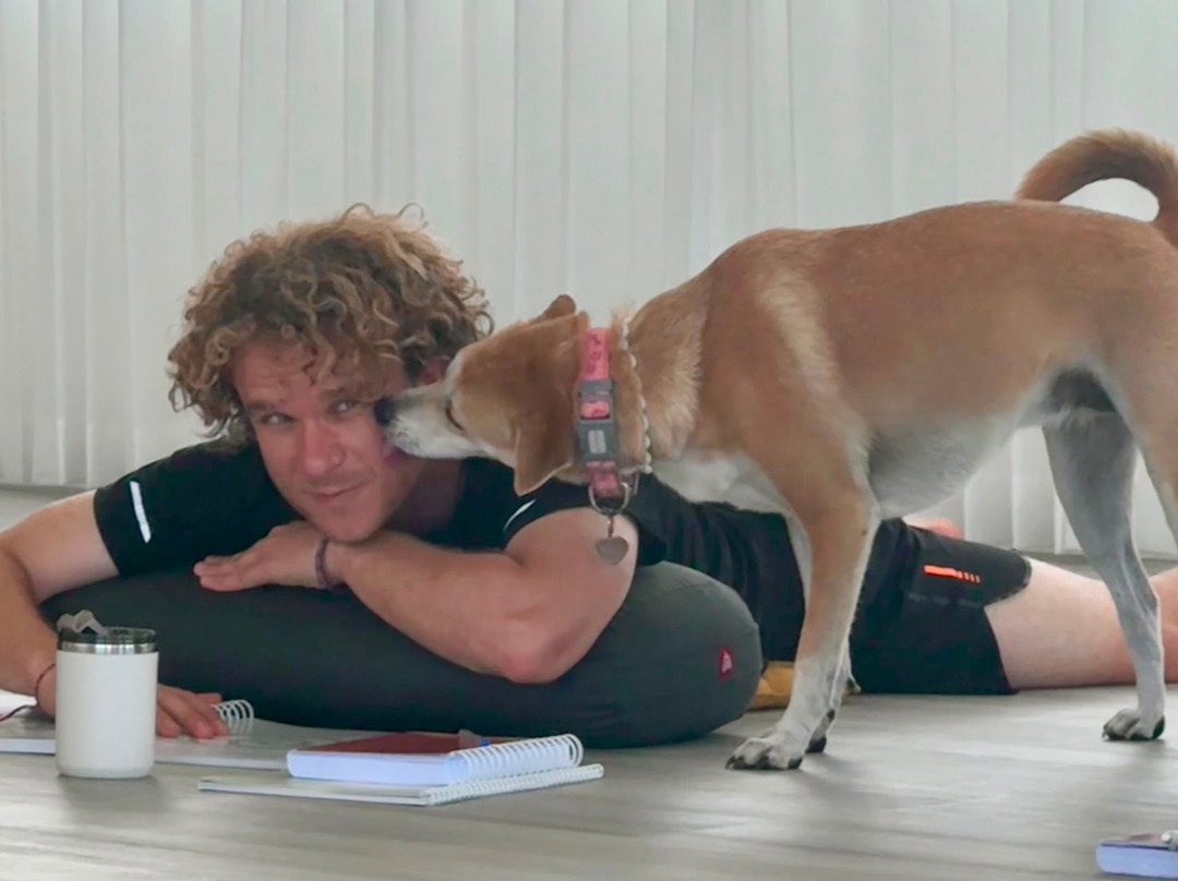 Loka Yoga School-佩惹勒南必去景点