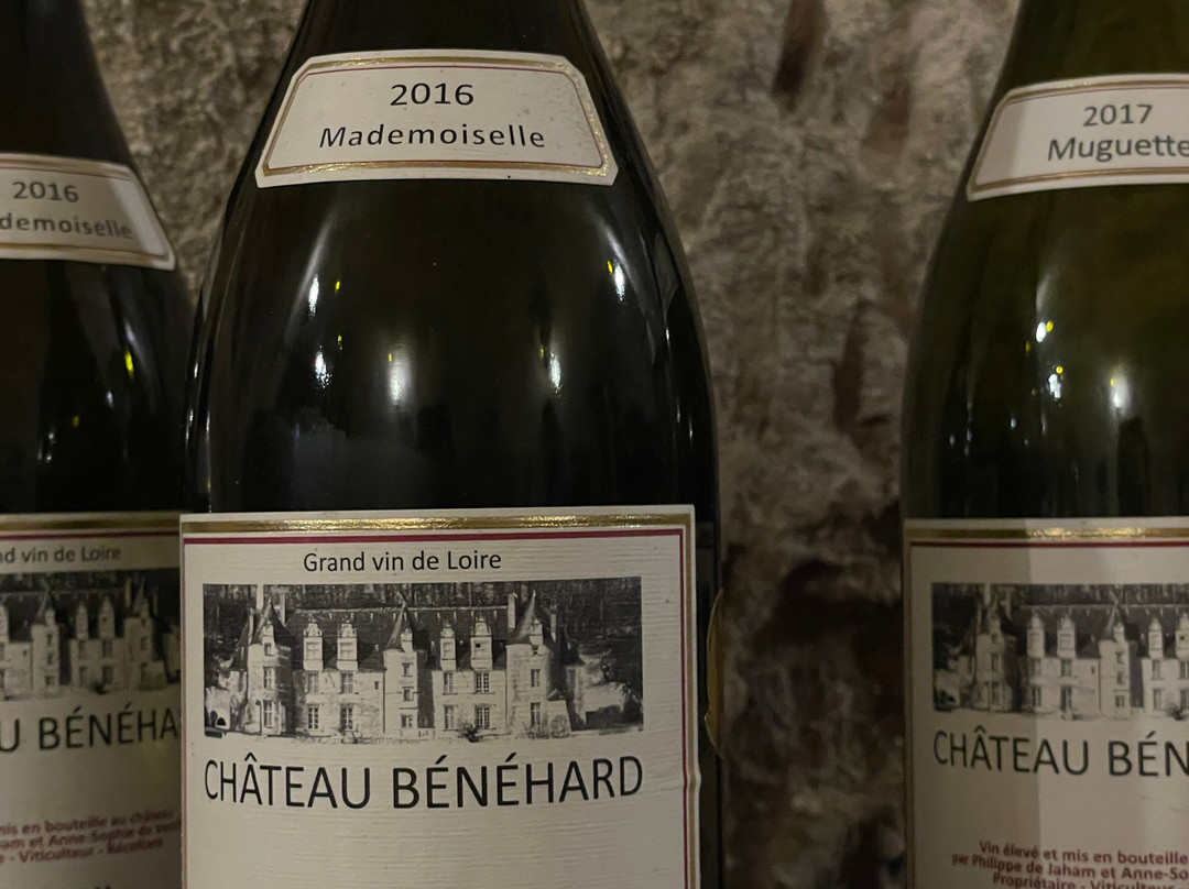 Vignoble Château Bénéhard-Chahaignes必去景点