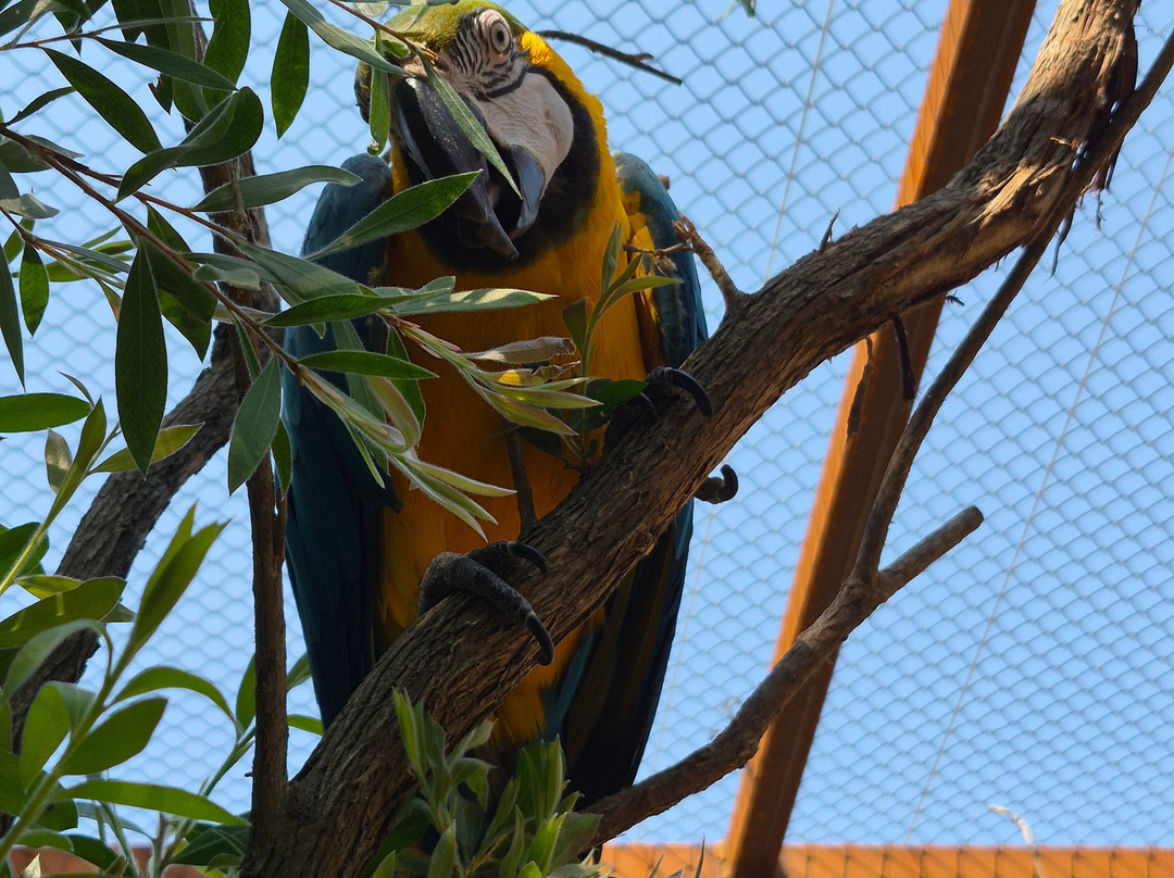 Butterfly Park-Castello d'Empuries必去景点