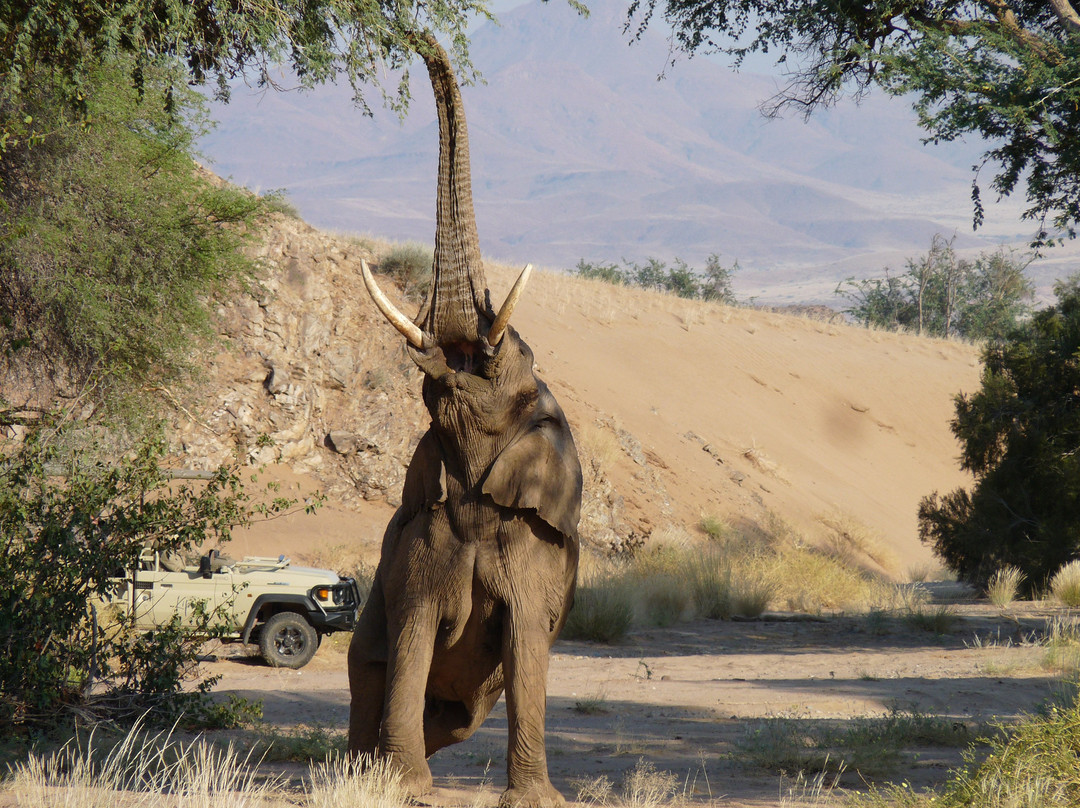 Namibia Tours & Safaris-斯瓦科普蒙德必去景点