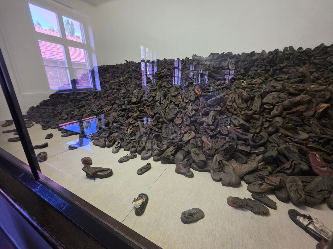 Krakow Auschwitz - Tours-克拉科夫必去景点