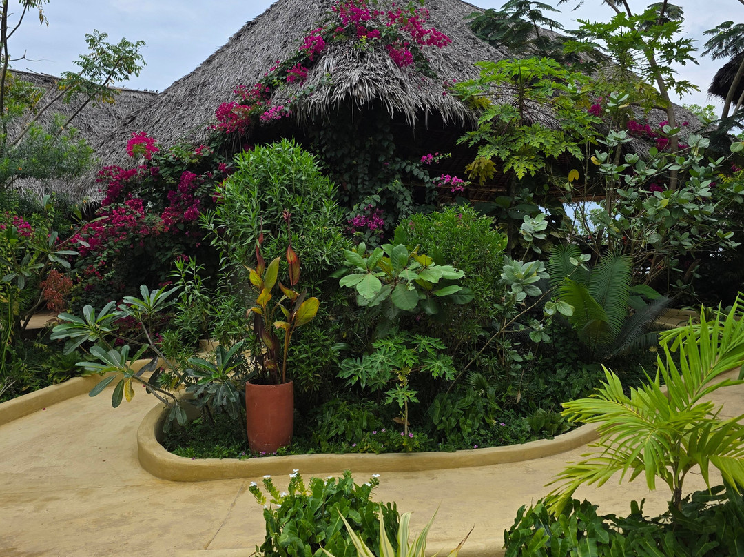 Afro Divers, Diving Center and Lodge-奔巴岛必去景点