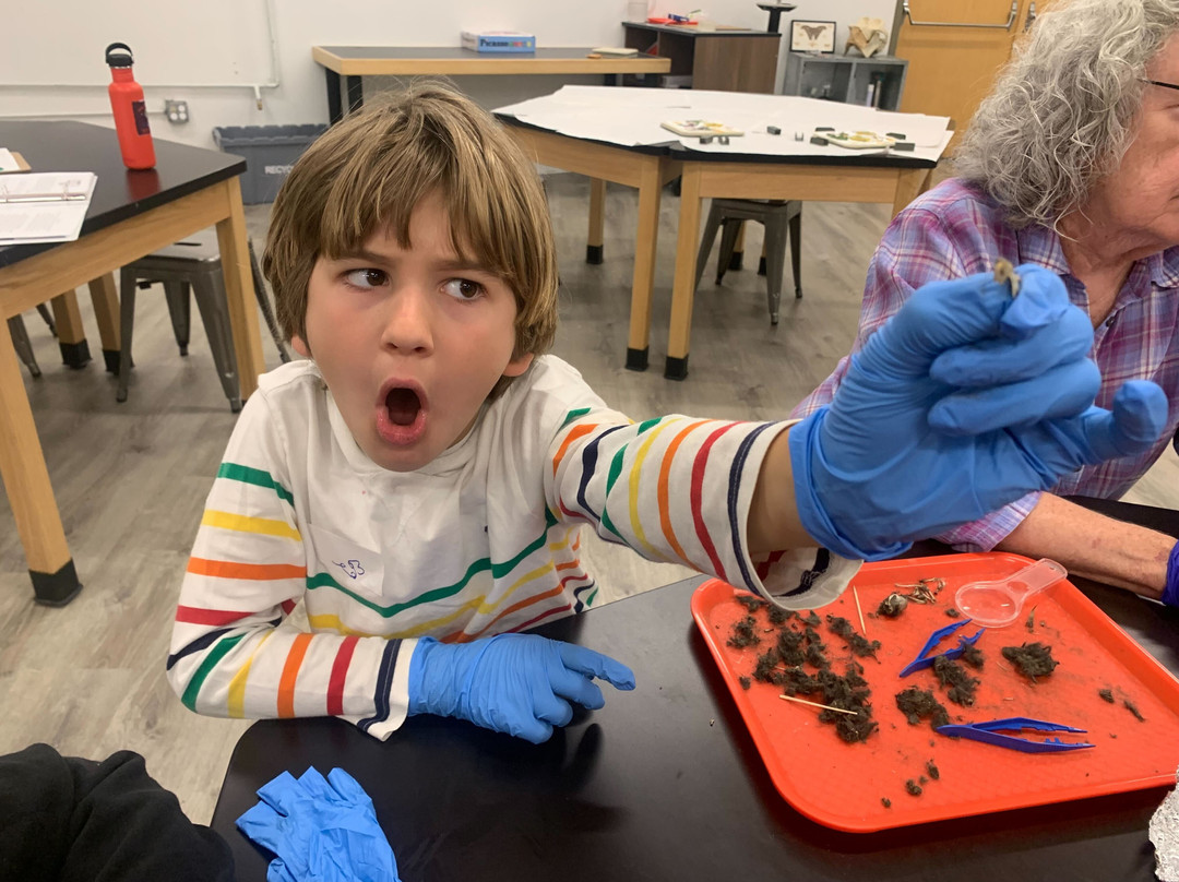 Scienceworks Hands-on Museum-阿什兰必去景点