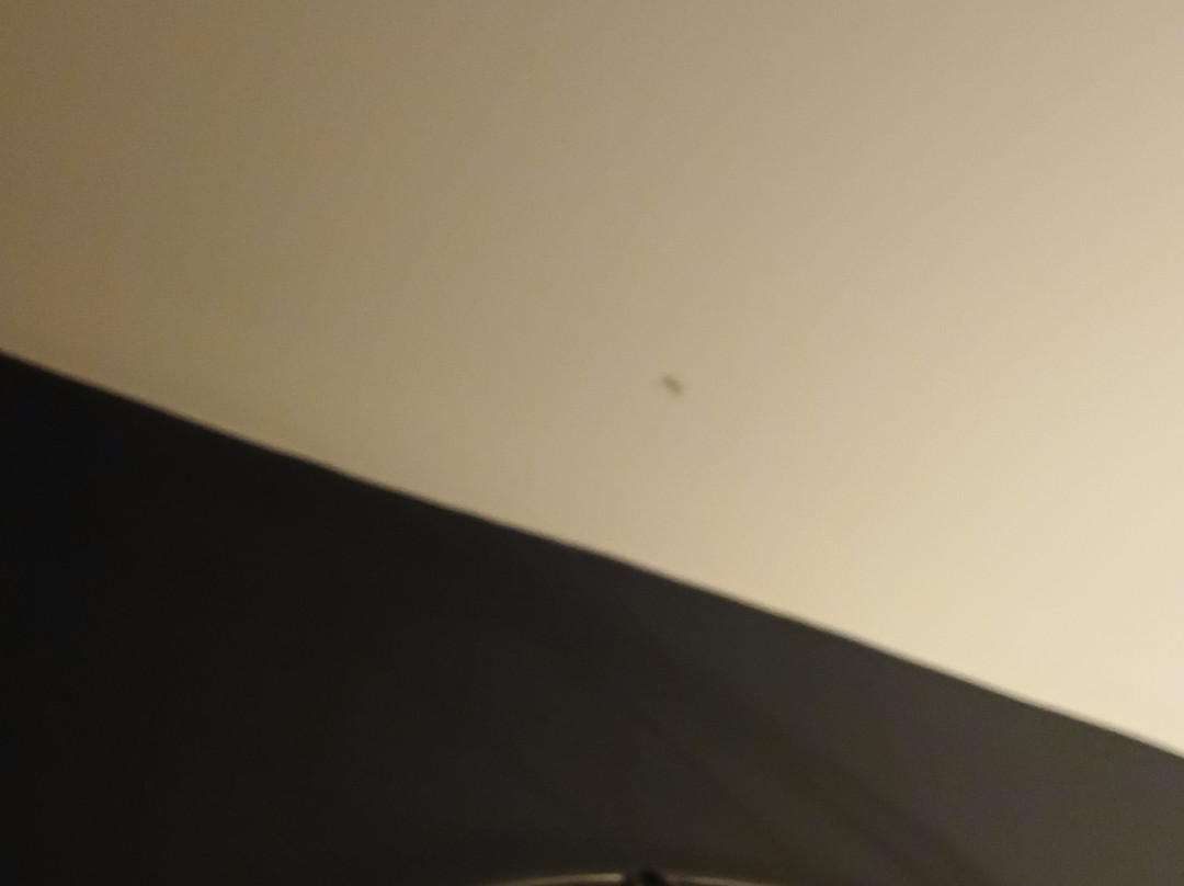 湖畔米尔瀑布度假村精选主图