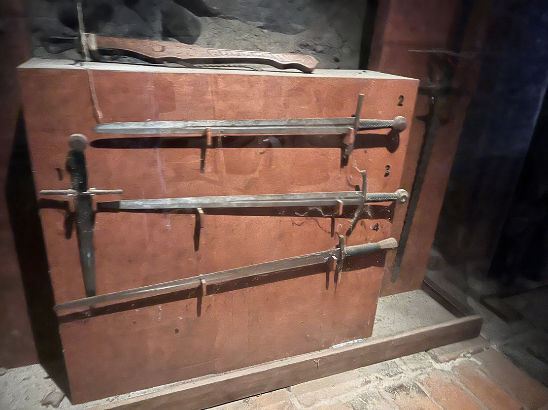 Teutonic Castle Ruins-托伦古镇必去景点