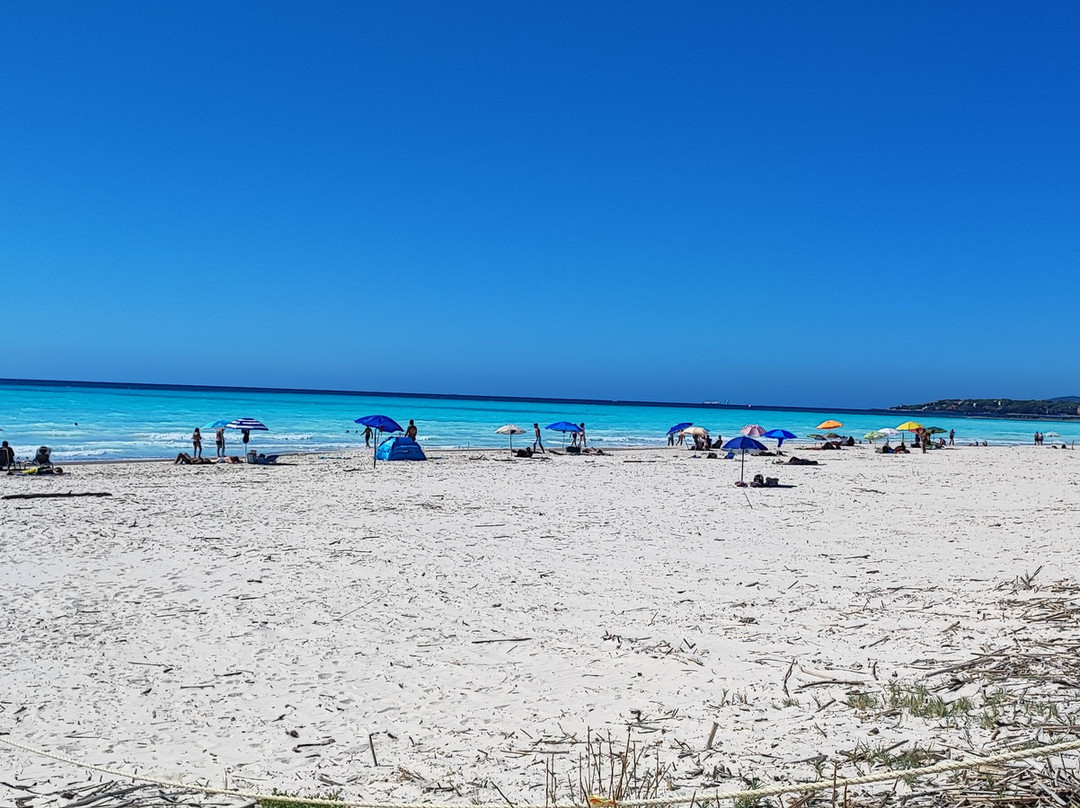 Spiagge Bianche-滨海罗西尼亚诺必去景点