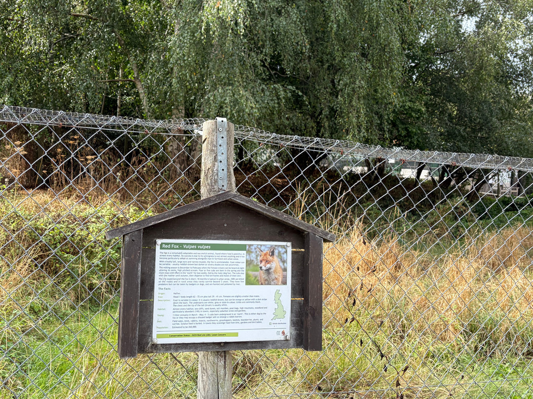 British Wildlife Centre-Lingfield必去景点