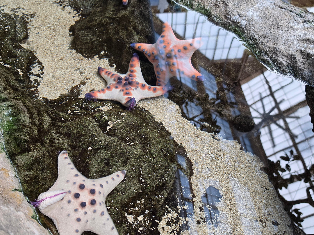 Point Defiance Zoo & Aquarium-塔科马必去景点