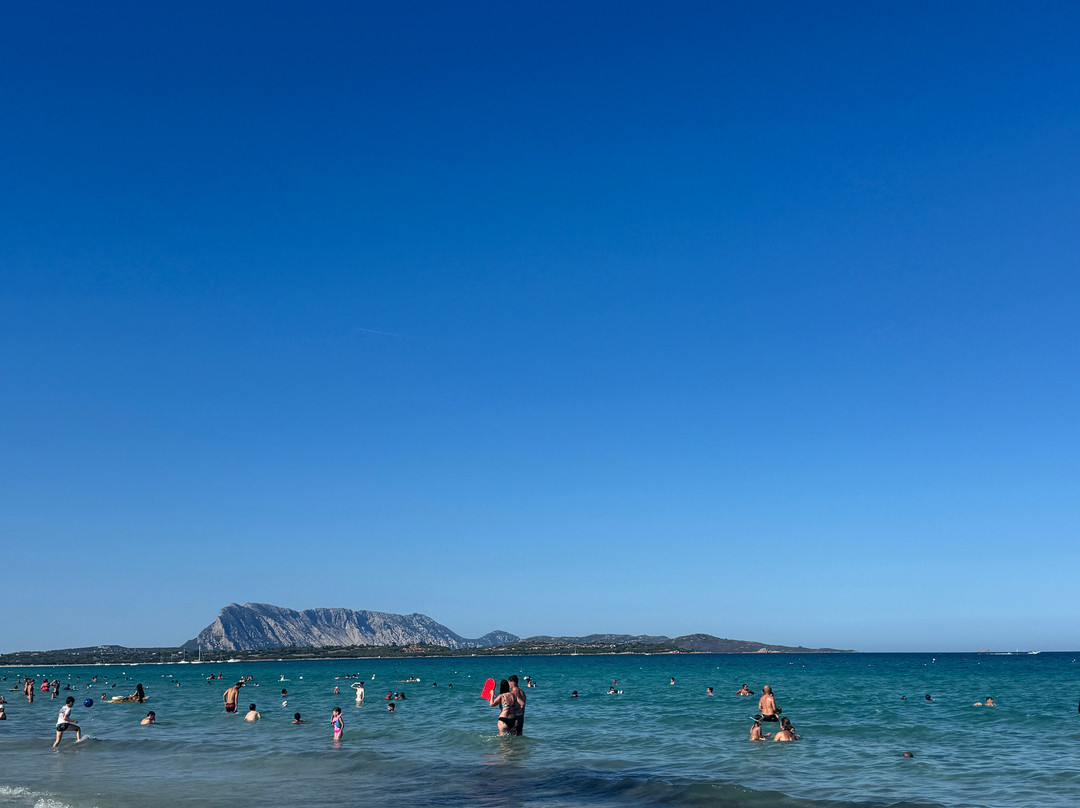 Spiaggia La Cinta-San Teodoro必去景点