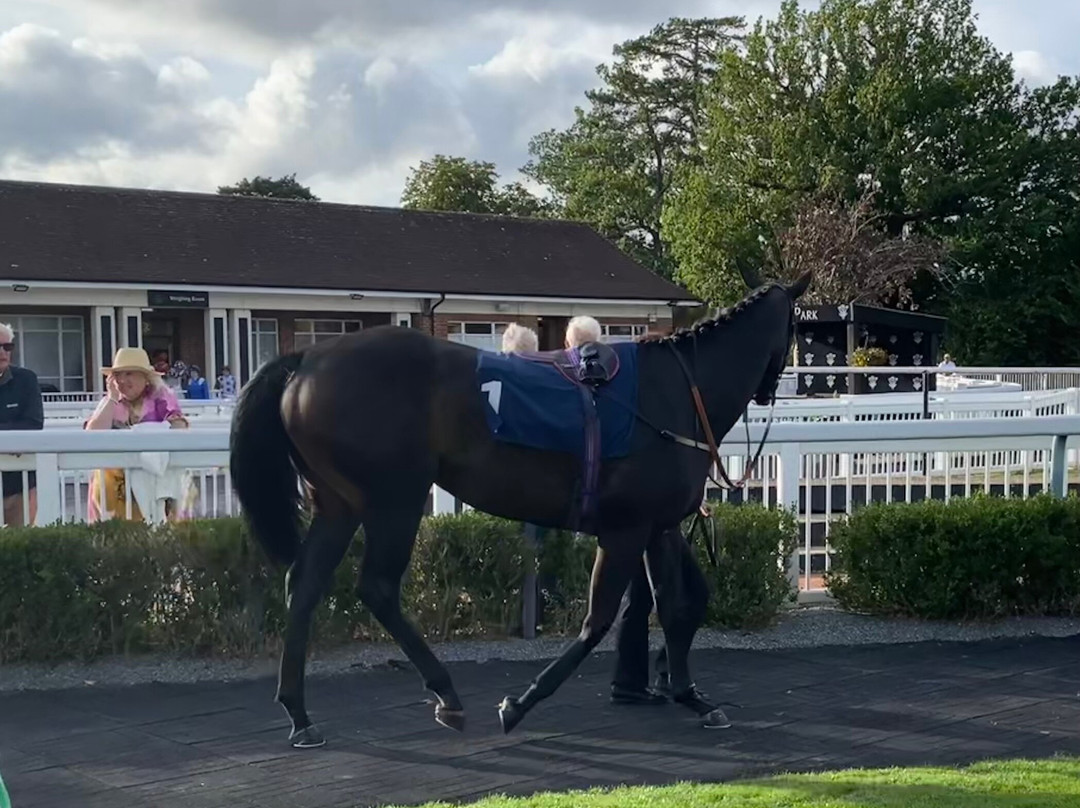 Lingfield Park Resort-Lingfield必去景点