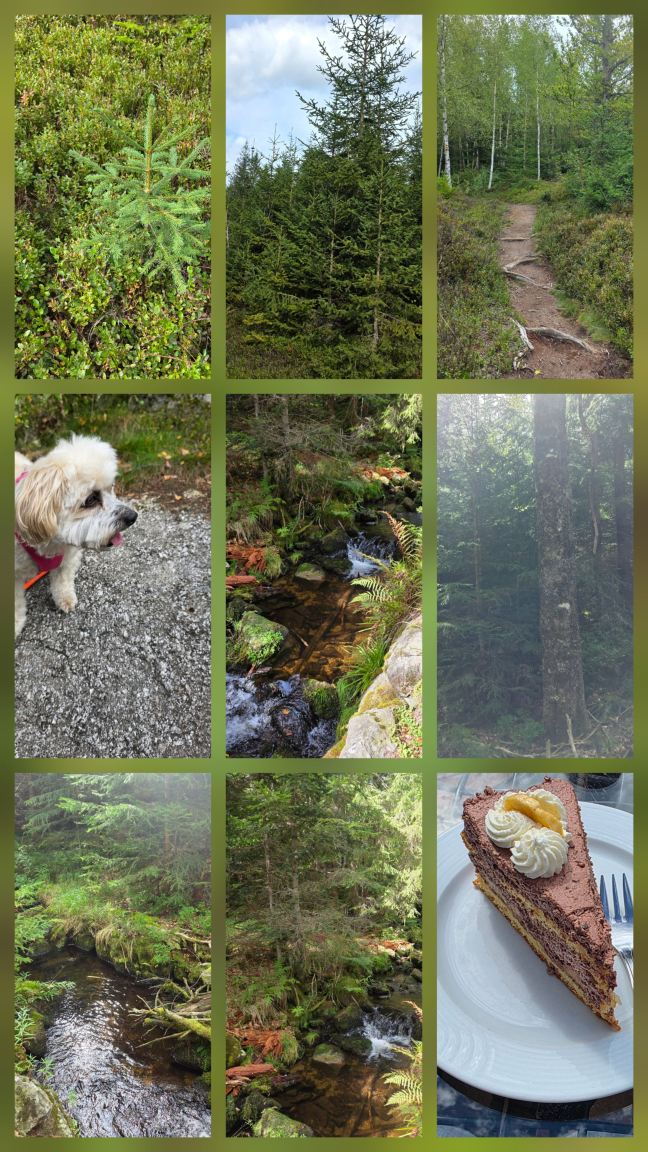 Hunderesort Waldeck - 4 Sterne Urlaub Mit Hund-旅行者