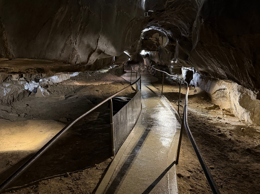 Aillwee Cave-Ballyvaughan必去景点