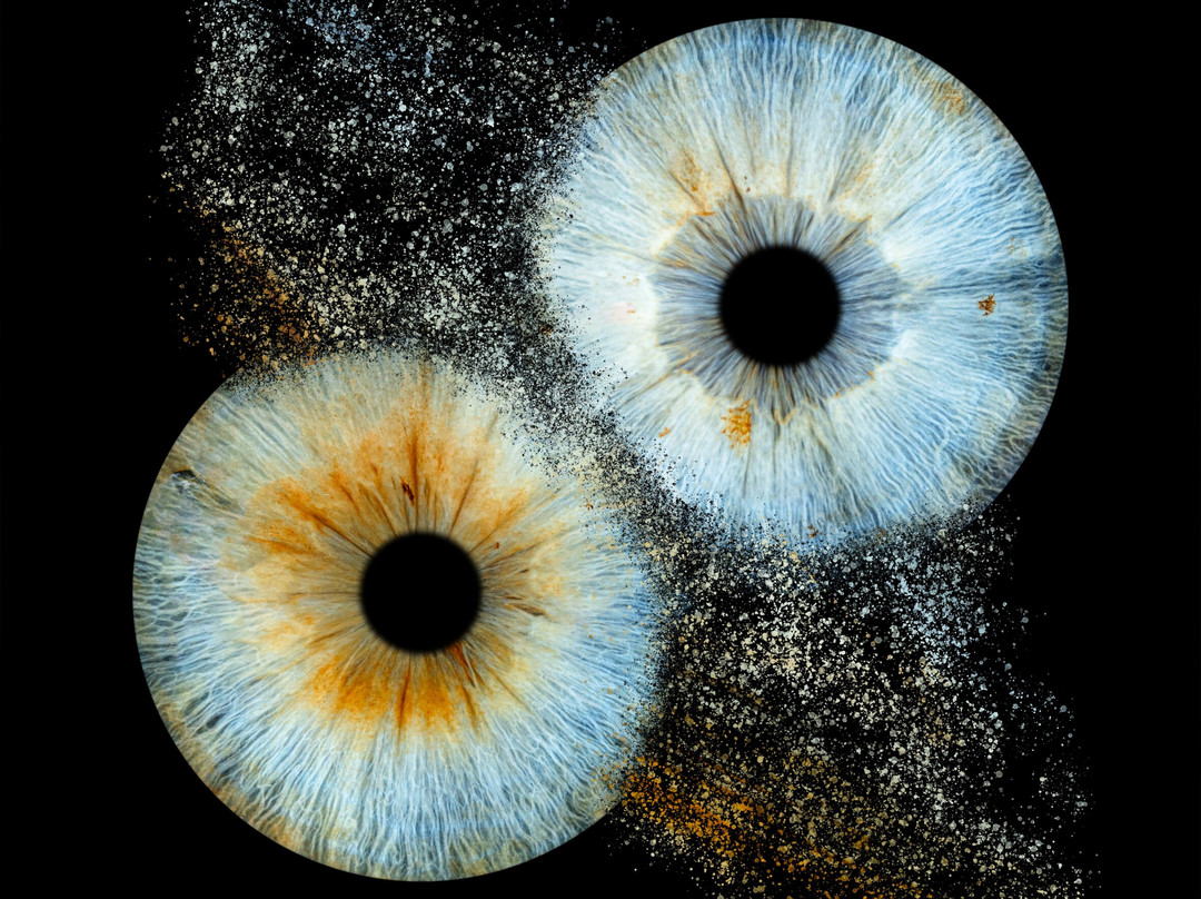 Iris Galerie Hasselt