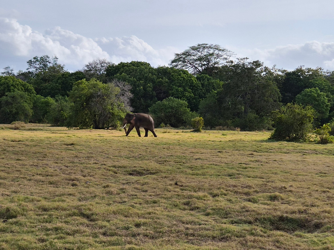 Good Holiday Tours-Kandy District必去景点