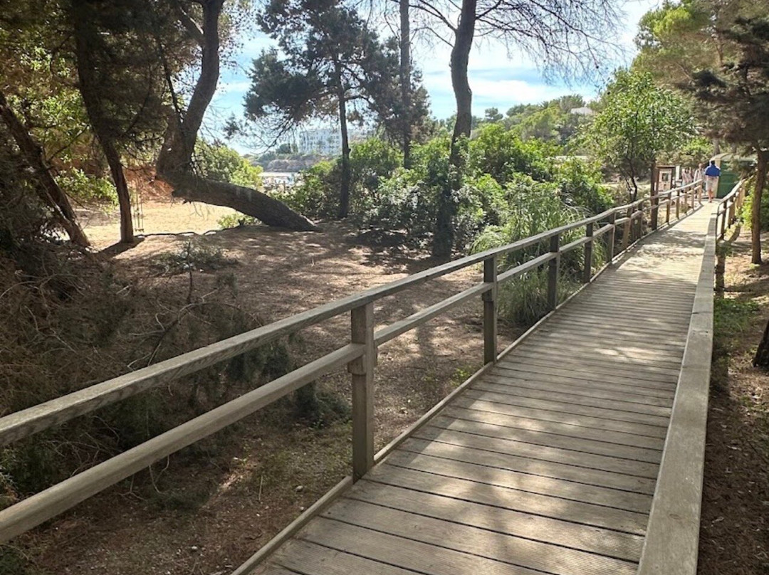 Cala Llenya-伊维萨城区必去景点