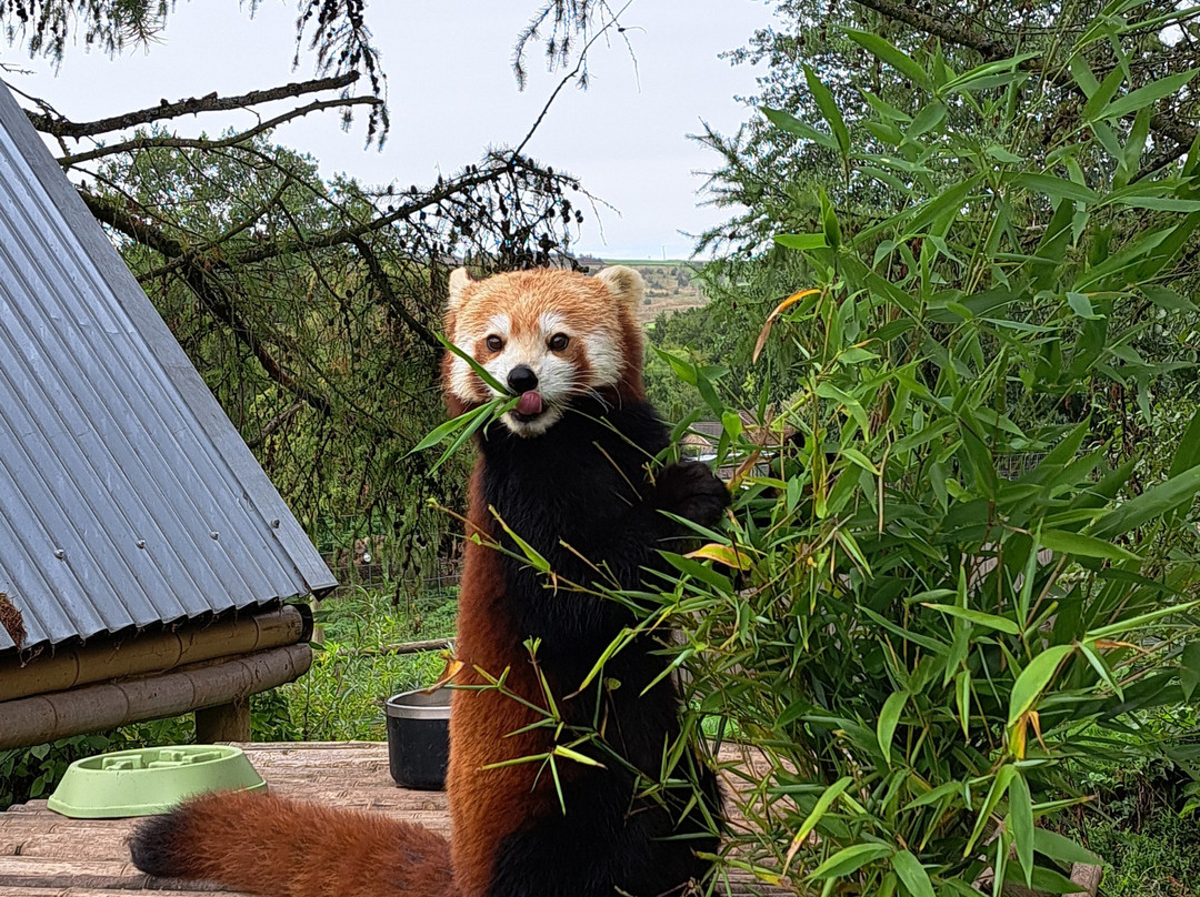 Peak Wildlife Park-Winkhill必去景点