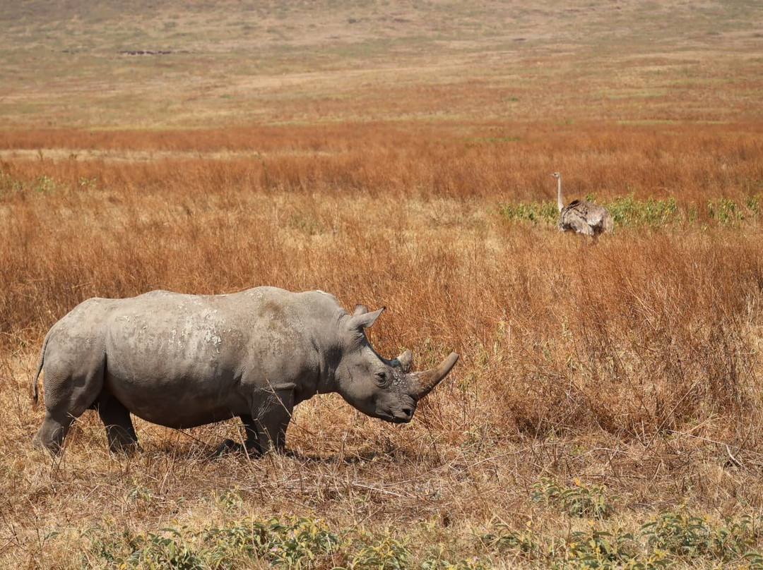 Sereland Africa Safaris-Sakina必去景点