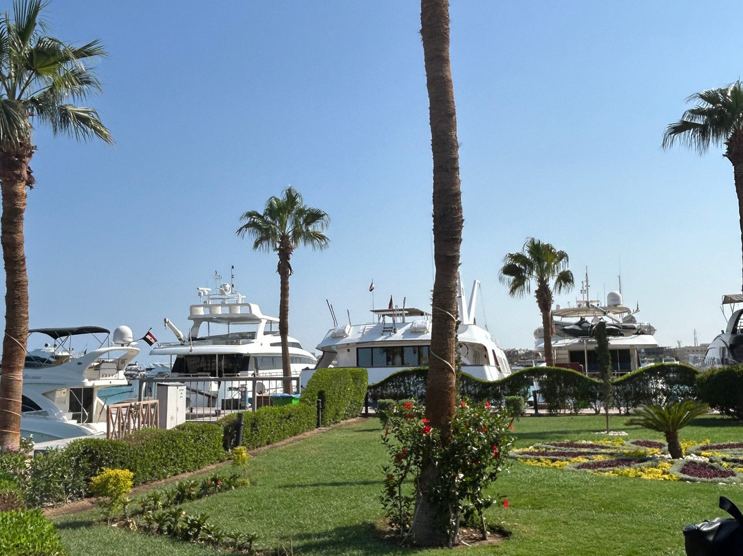 Hurghada Excursions & Tours in the Red Sea-赫尔格达必去景点