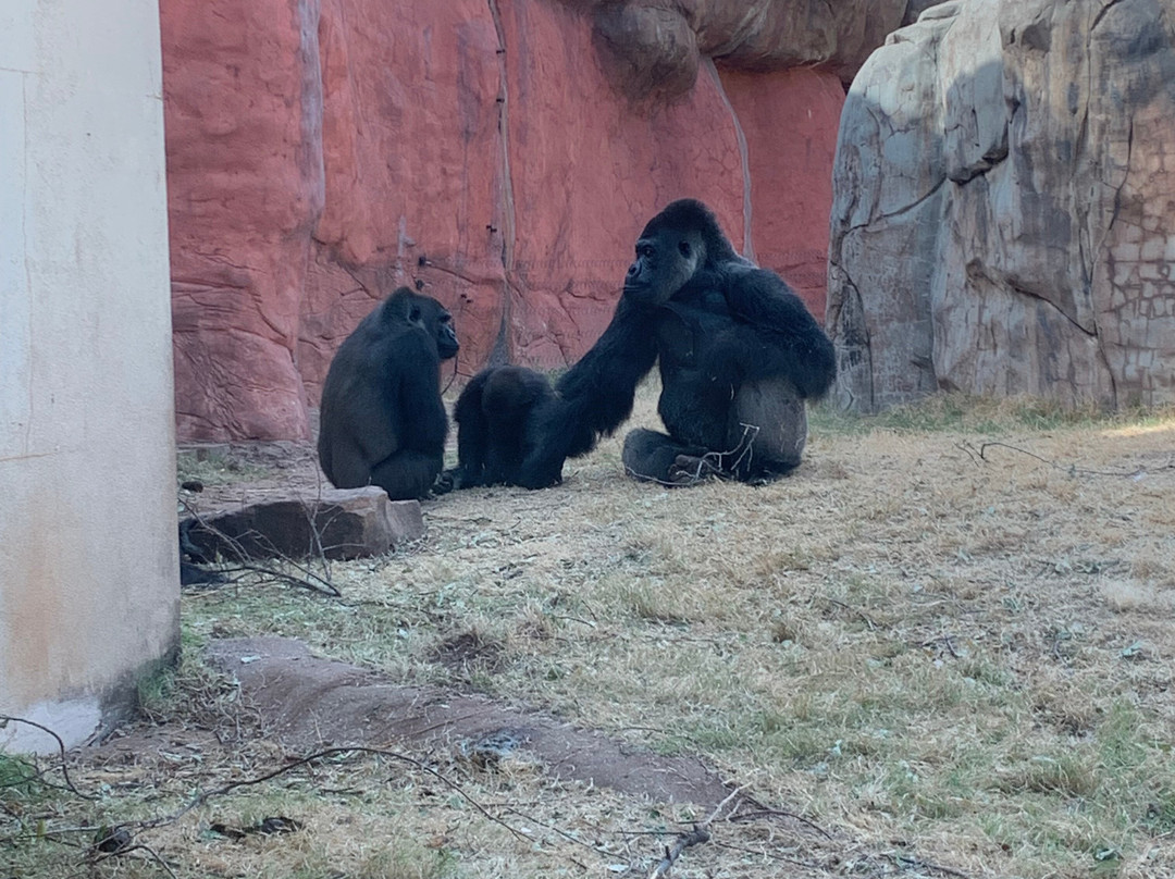 Oklahoma City Zoo and Botanical Garden-俄克拉何马城必去景点
