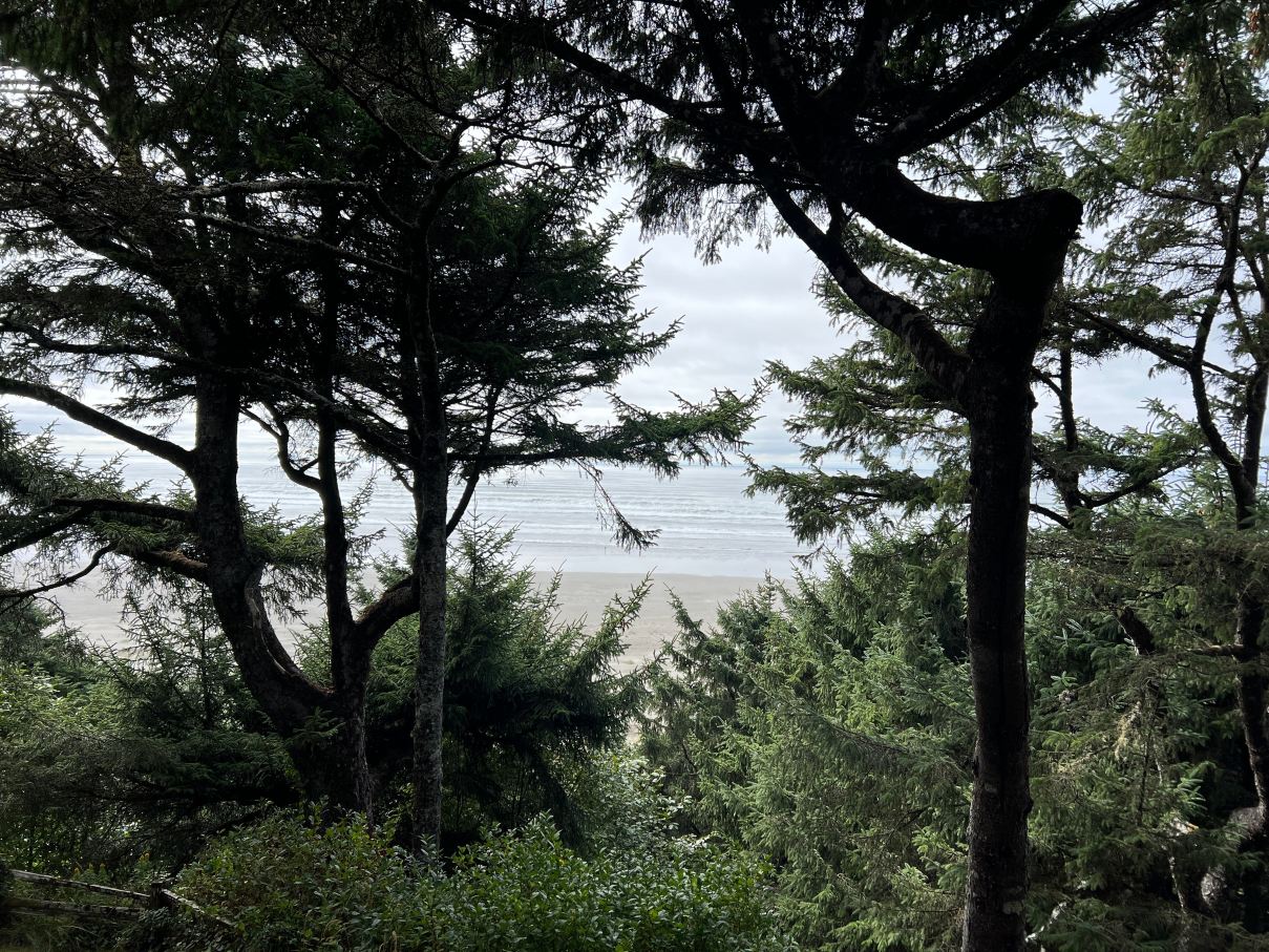 海洋翠园度假村-客卧