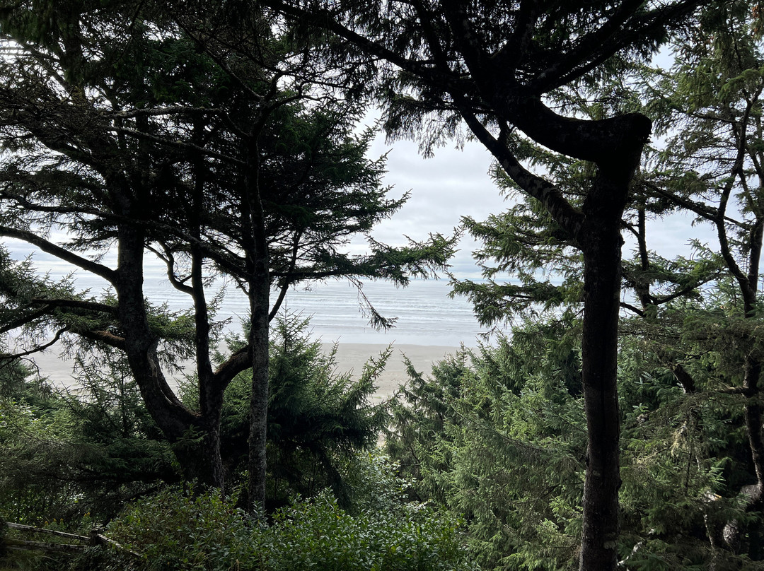 海洋翠园度假村主图