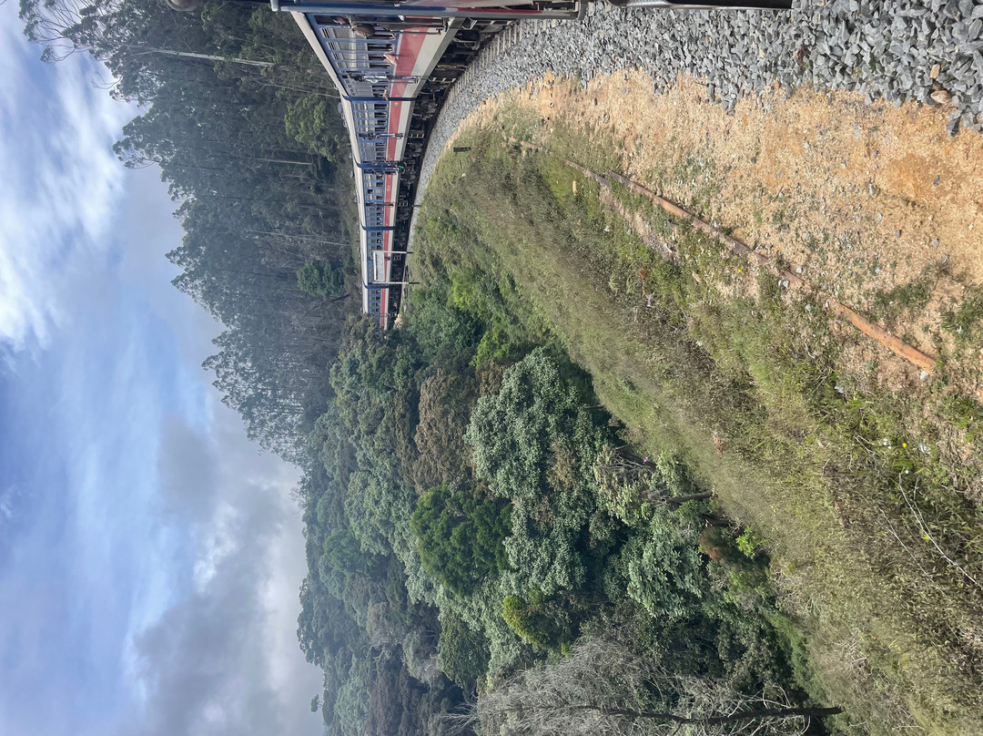 Beruwala Day Tours-贝卢瓦拉必去景点
