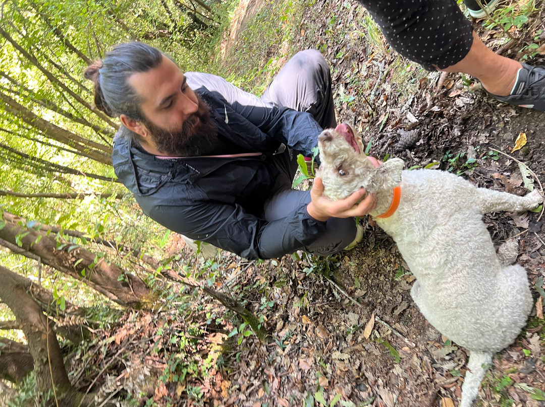 Truffle Hunting Nacci Tartufi-Corazzano必去景点