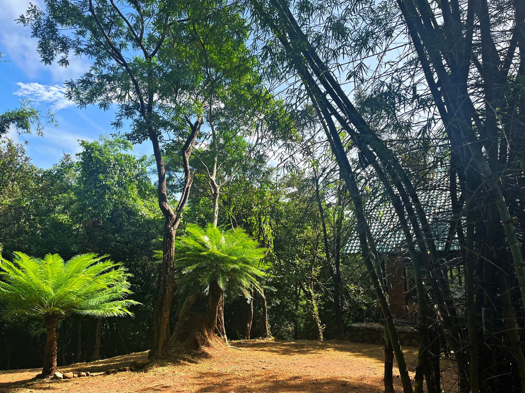 Osho Aranya Retreat Center-Naula必去景点