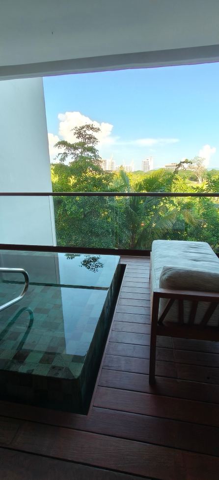 The Estates at Vidanta Nuevo Nayarit-旅行者
