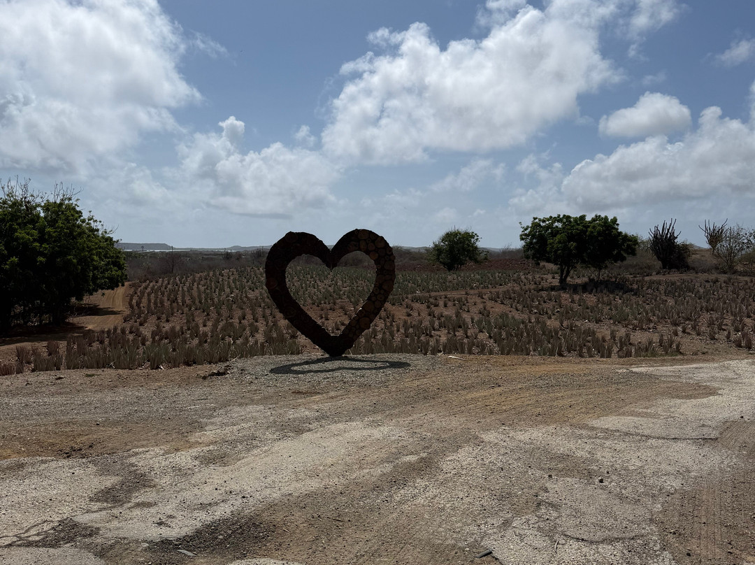 Curaçao Aloe Vera Farm-威廉斯塔德必去景点