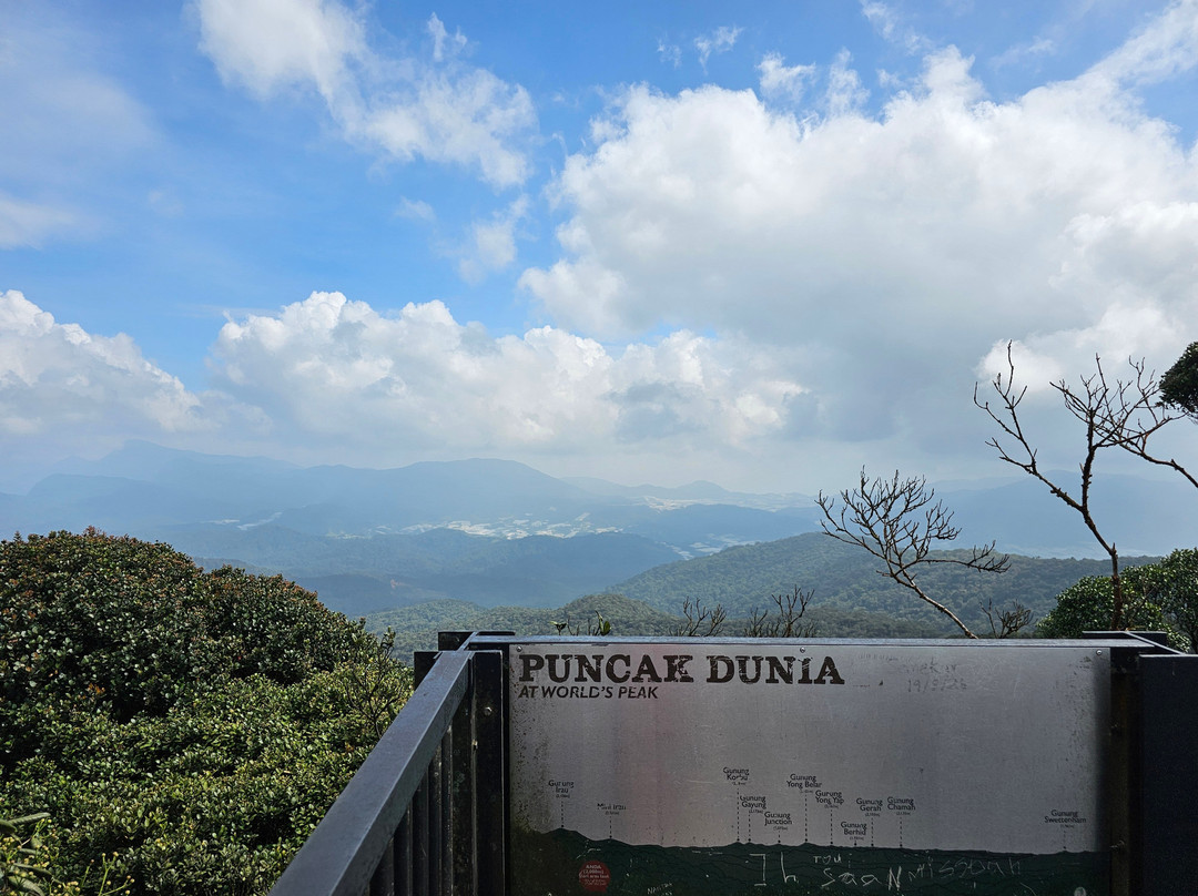 Mossy Forest Eco Park-碧兰璋必去景点