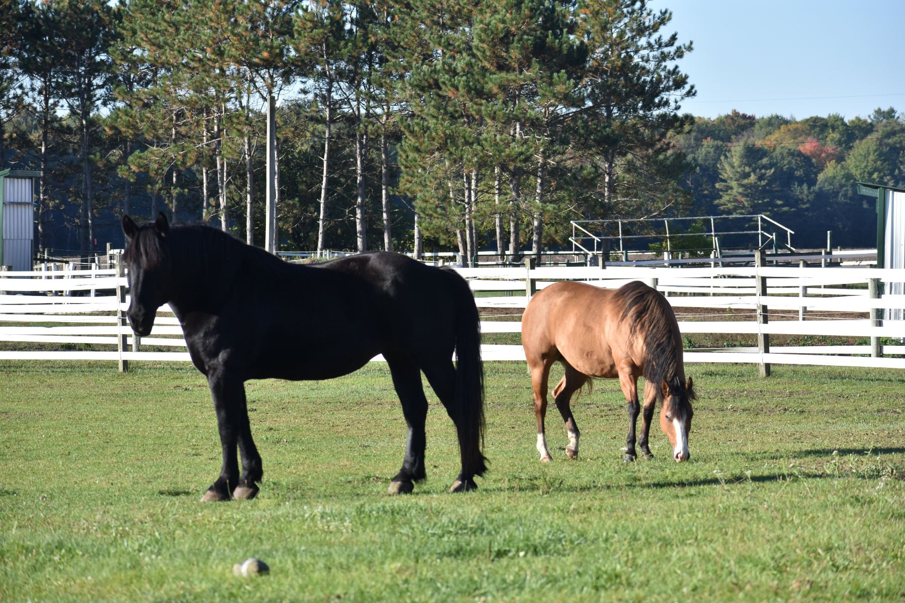 Outback Lodge and Stables-旅行者