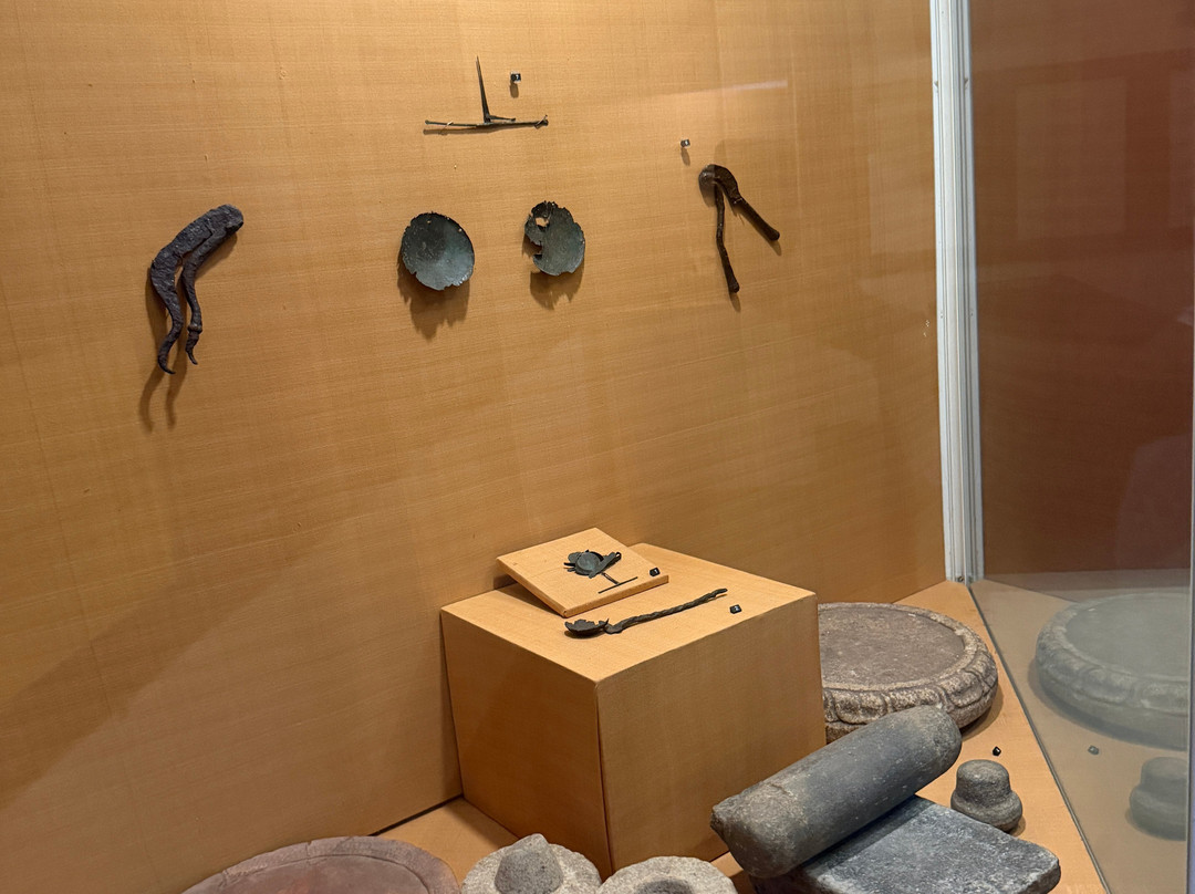 Archaeological Museum-波隆纳鲁瓦必去景点