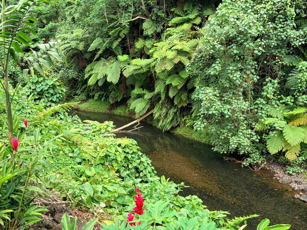 Togitogiga Waterfall-Upolu必去景点