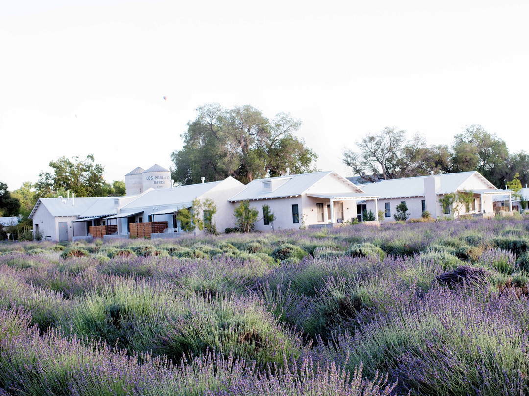 Los Ranchos de Albuquerque酒店住宿-Los Poblanos Historic Inn & Organic Farm
