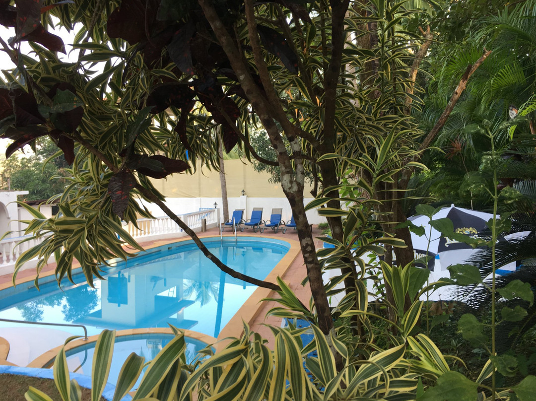 Palolem酒店住宿-Oceanic - Luxury Boutique Hotel