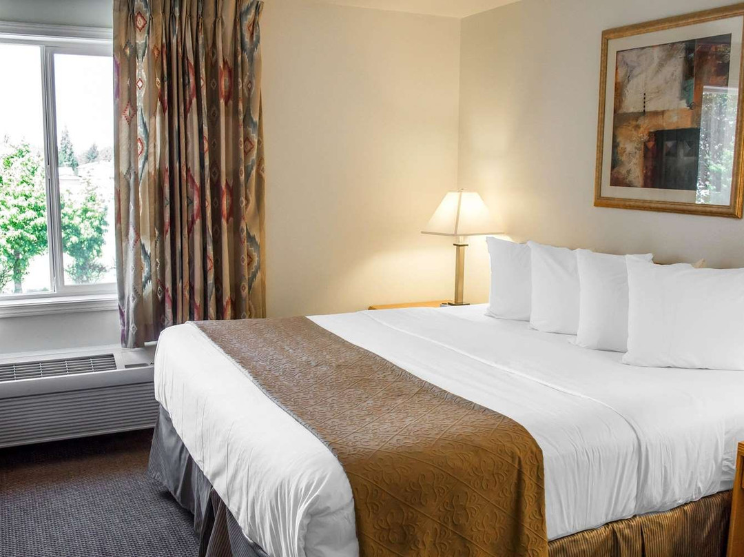 Quality Inn & Suites Longview Kelso主图