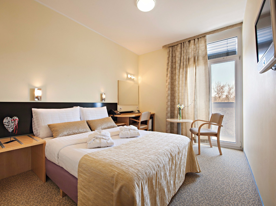 Prekmurje Region酒店住宿-Radin Superior Hotel