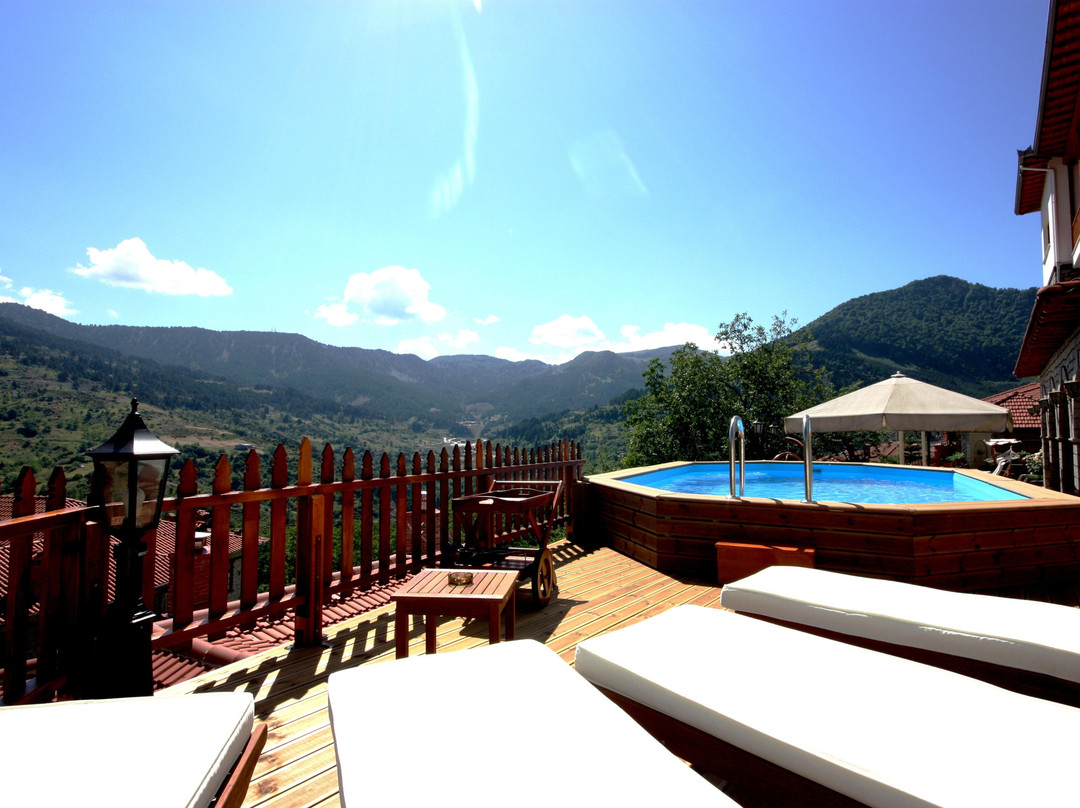 迈措沃酒店住宿-Archontiko Metsovou Boutique Hotel