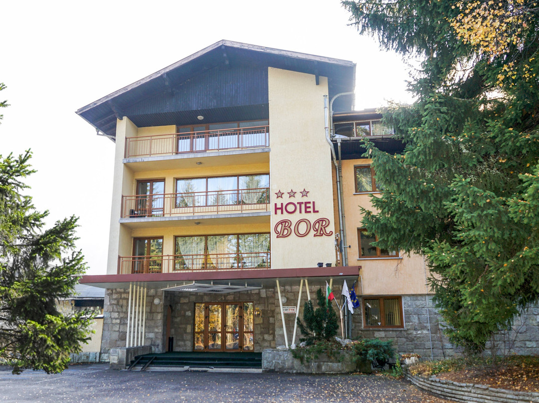 Pchelin酒店住宿-Hotel Bor