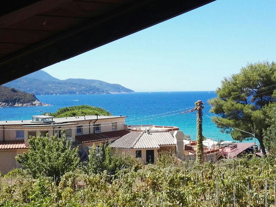 Hotel Casa Rosa