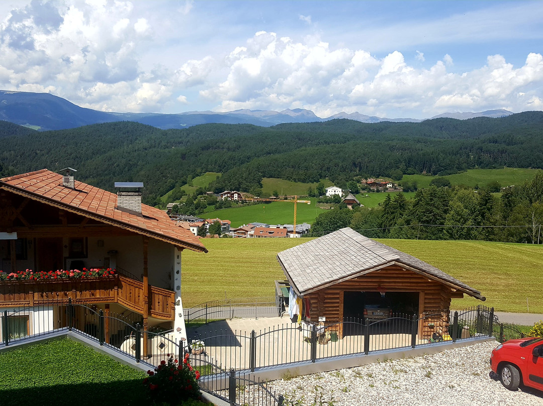 Tiosels酒店住宿-Goldreinerhof