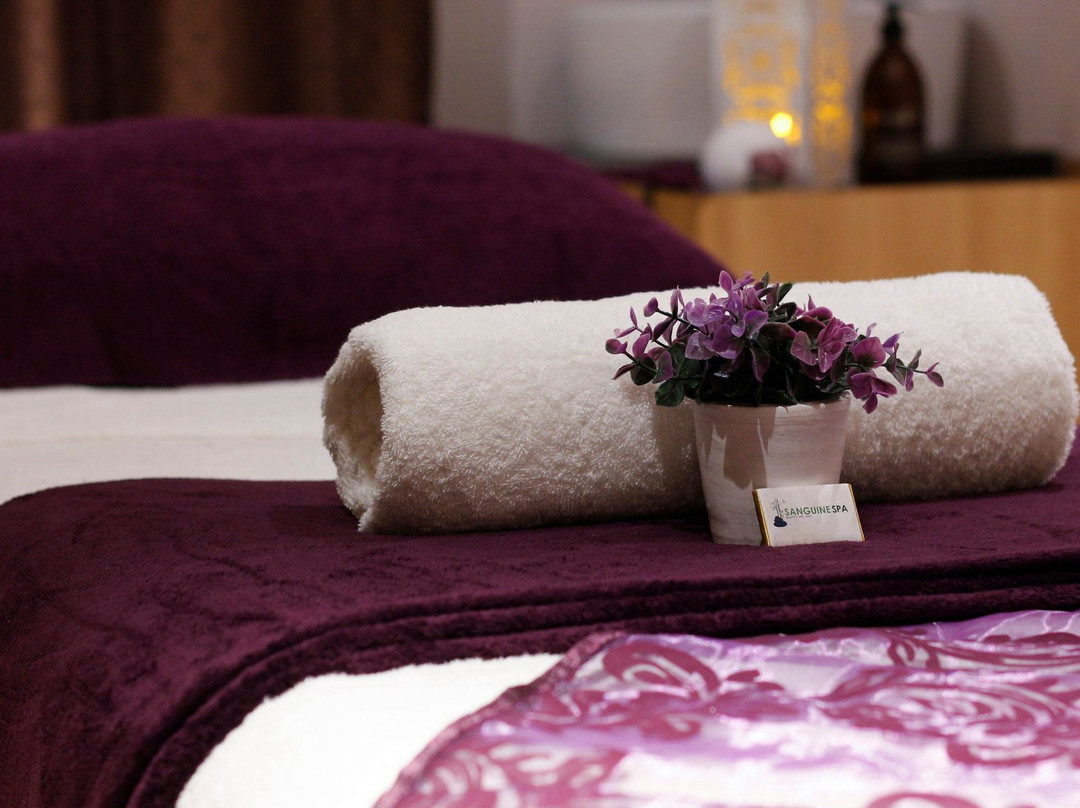 Heatherlands旅游景点-Sanguine Spa