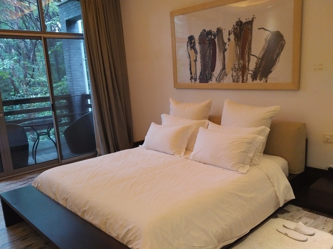 凤凰山庄艺术酒店主图