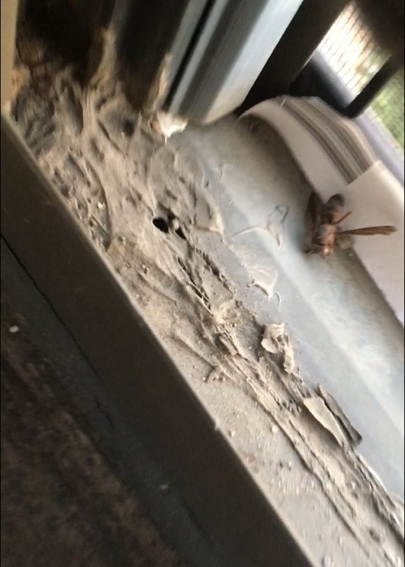 Holiday Inn Express London-i-70 By IHG主图