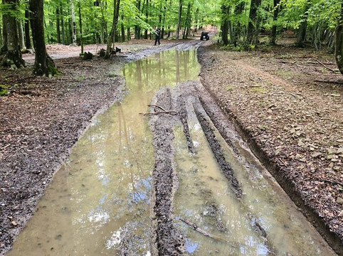 Vortex Cro-维斯必去景点