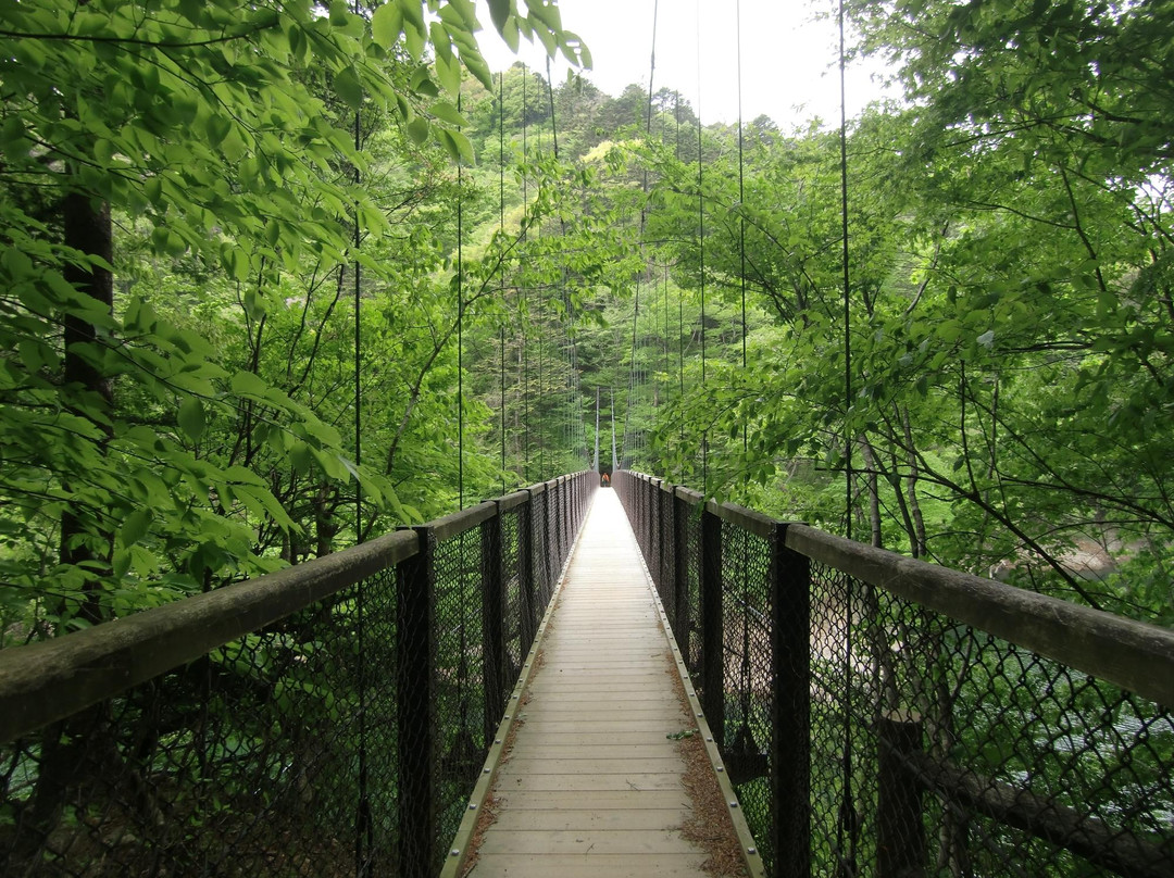 那须盐原市旅游景点-Mikaeri Suspension Bridge
