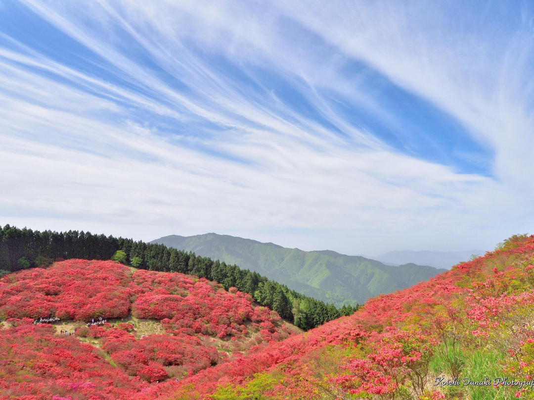 Katsuragi Highlands景点图片
