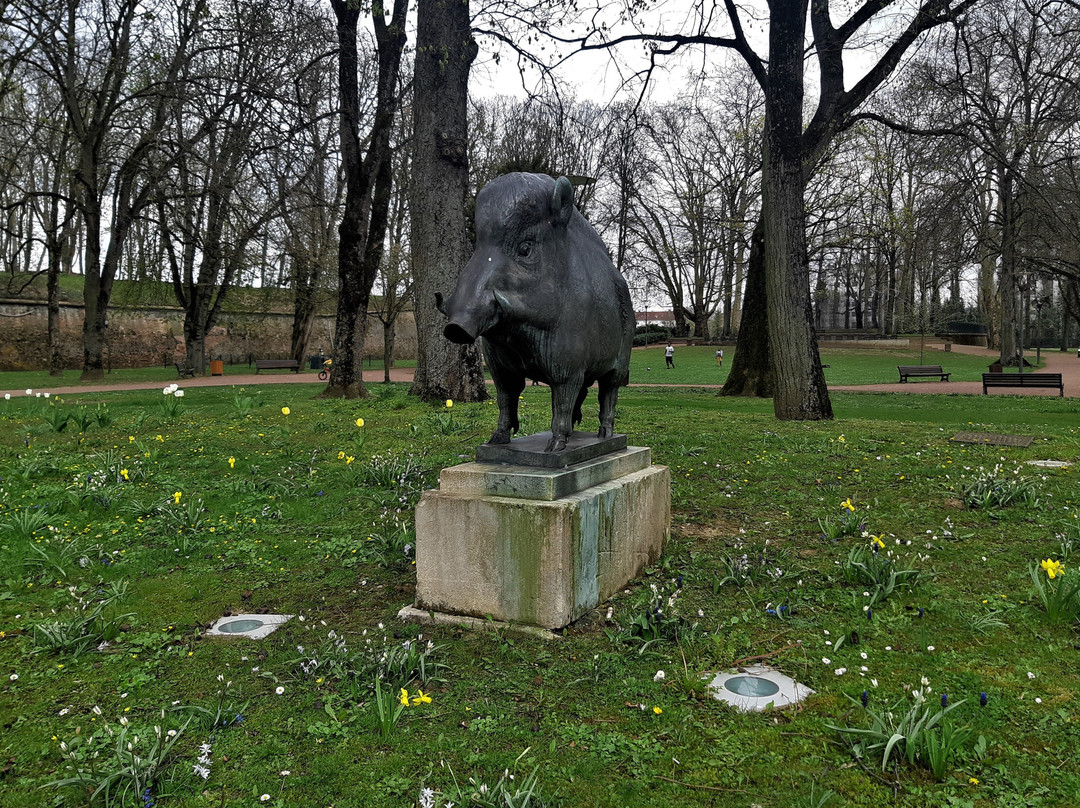 Le sanglier de Berthe Martinie